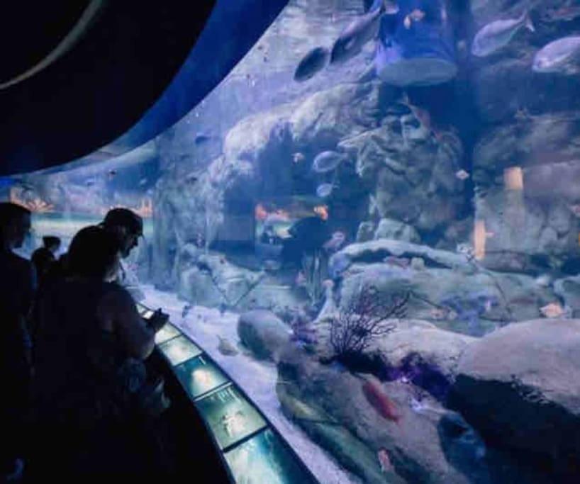 Apto Ruzafa Patio Center Science Oceanografic * Valencia